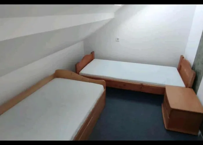 Hajdu هايدوبوسورميني